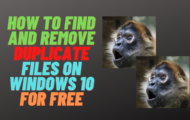 best free duplicate file finder and remover
